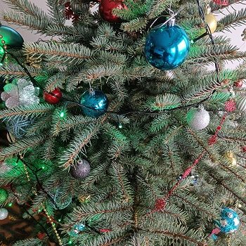 Jak tajně přesunout dárky pod vánoční stromeček?